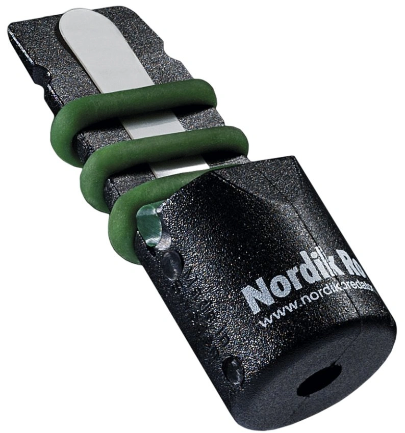 Nordik-roe